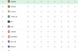 雷速体育官方-纷争不断！国内足球职业联赛的激烈竞争的简单介绍