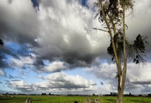 雷速体育电脑版官网-世界网球队绝杀日本网球队，克耶高斯高光表现引爆全场