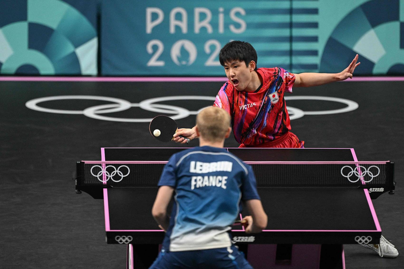 包含法国队险胜韩国队，张本智和扛起全队的词条